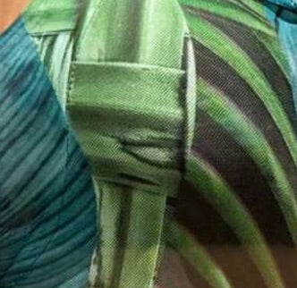 Dress Leaves Transparency